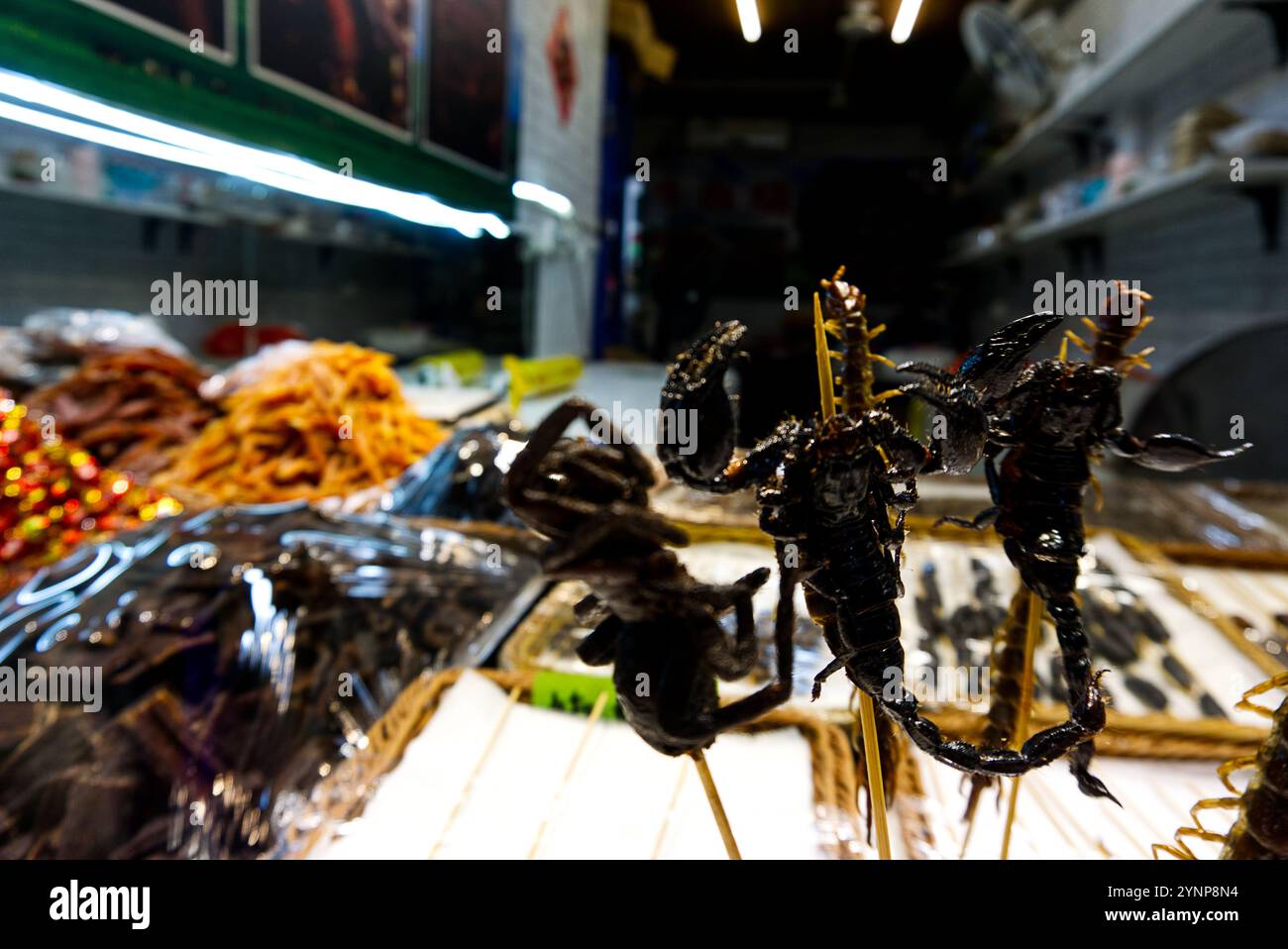 insectes frits dans un marché alimentaire Banque D'Images