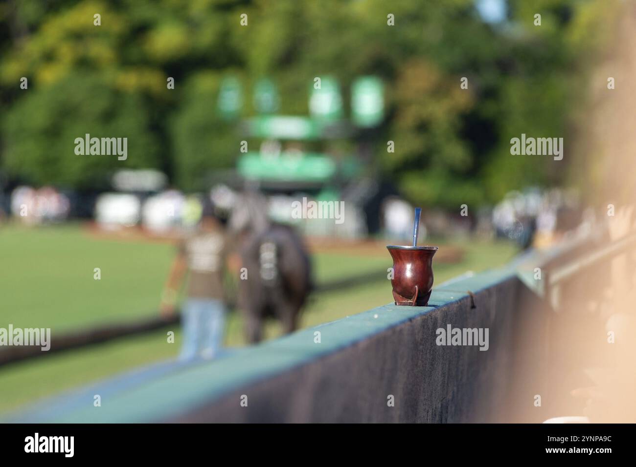 Thé maté ou maté, la boisson nationale de l'Argentine, dans une caleçon traditionnelle avec une bombilla, lors d'un match de polo à Buenos Aires, Argentine, Amérique du Sud Banque D'Images