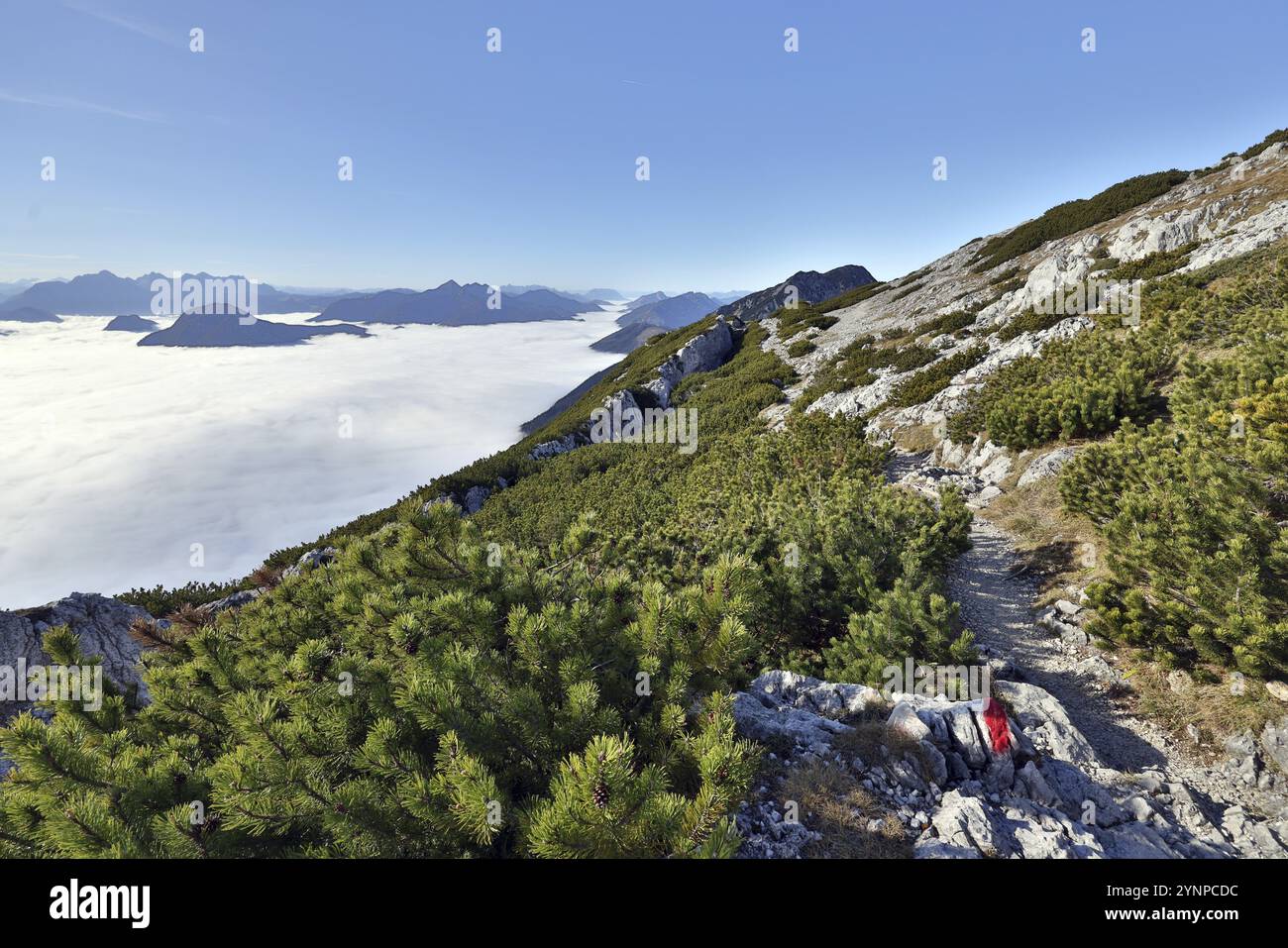 Vue d'une montagne à la couverture de brouillard fermée dans une vallée dans les Alpes de Chiemgau avec le Sonntagshorn, Hochstaufen, haute-Bavière, Bavière, Allemagne, EUR Banque D'Images