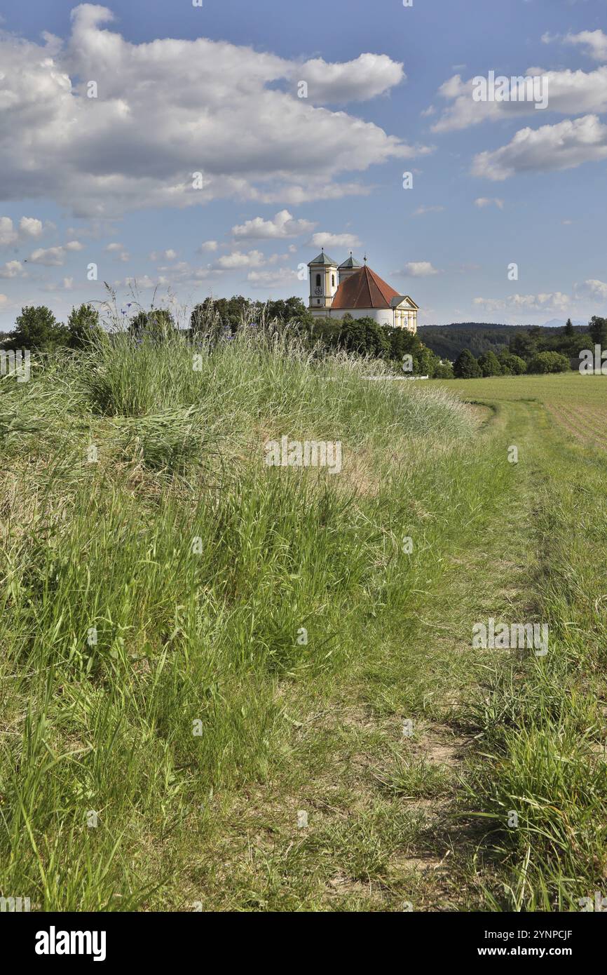 Un sentier de randonnée mène à travers des prairies verdoyantes à l'église de pèlerinage Maria Himmelfahrt à Marienberg, ciel blanc-bleu, Burghausen, haute-Bavière, Bavari Banque D'Images