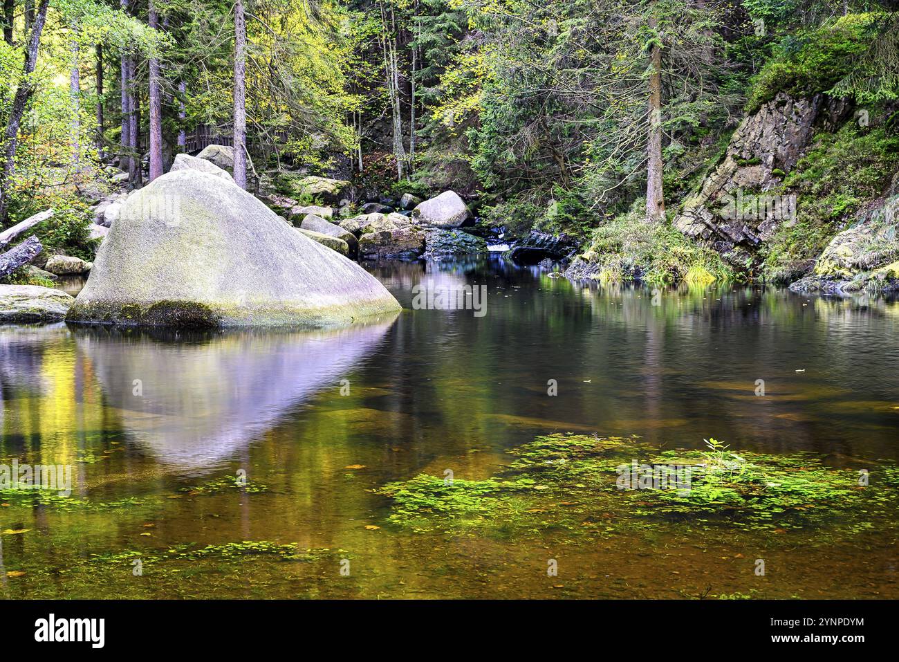 Grosses pierres dans le lit de la rivière sur l'île engagement, Oker, montagnes du Harz, Allemagne, Europe Banque D'Images