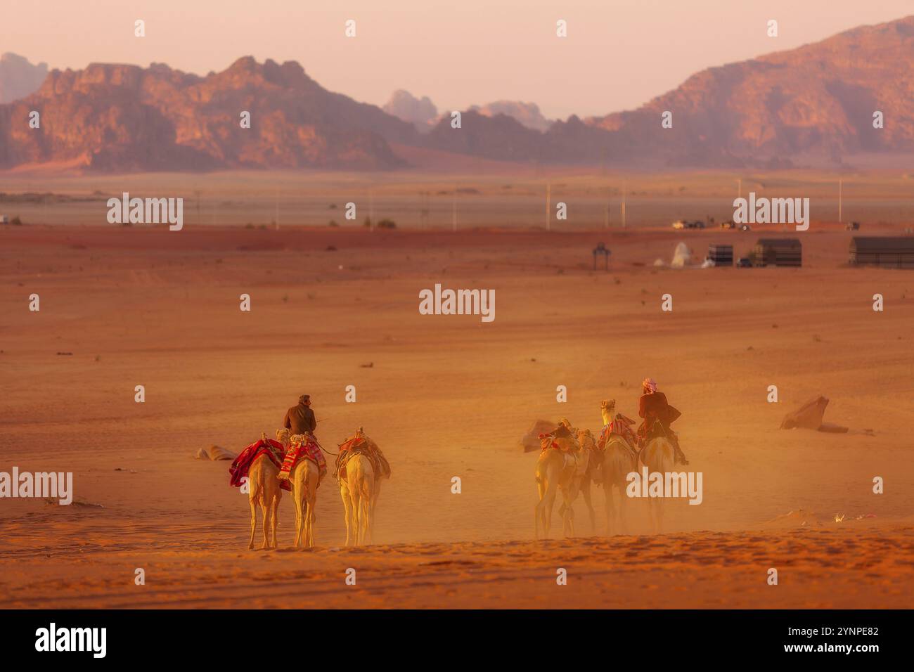 Jordanie, Wadi Rum, 2 novembre 2022 : caravane de chameaux avec des drovers dans le désert, montagnes rocheuses au coucher du soleil, Asie Banque D'Images