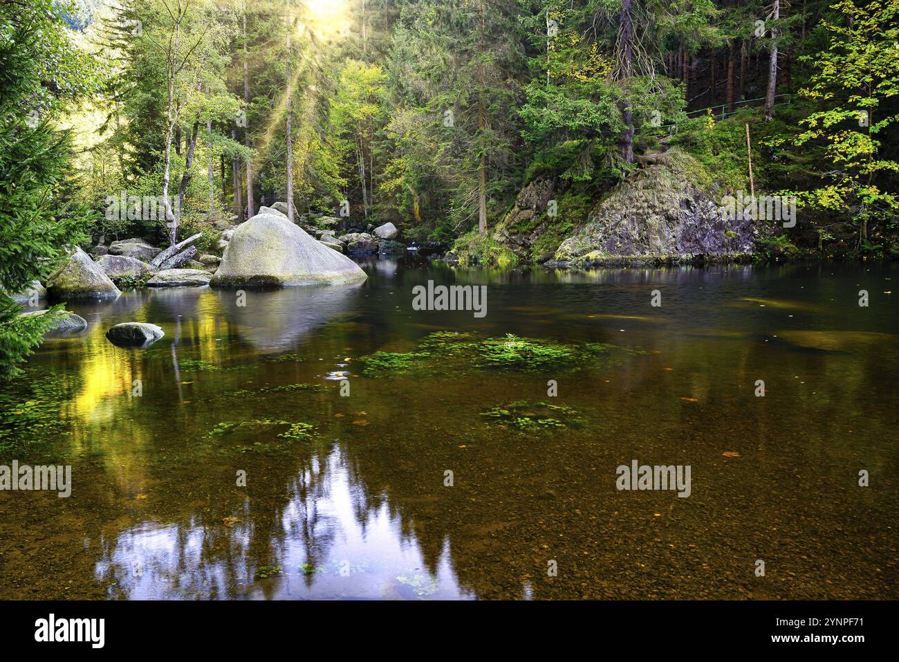 Le lit de rivière avec de grandes pierres sur l'île engagement dans l'Oker dans les montagnes Harz Banque D'Images