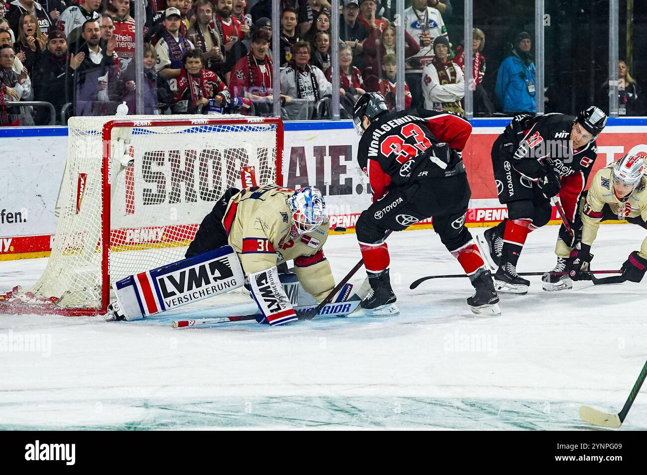 Allemagne. 26 novembre 2024. Eishockey Penny-DEL 20.Spieltag Koelner haie - Nuernberg Ice Tigers AM 26.11.2024 in der Lanxess Arena in Koeln v.l.n.r., Niklas Treutle ( Nuernberg ), Tim Wohlgemuth ( Koeln ), Juhani Tyrvaeinen ( Koeln ), Owen Headrick ( Nuernberg ) Gemaess den Vorgaben der DEL Deutsche Eishockey Ligist Foto : Revierfoto crédit : ddp Media GmbH/Alamy Live News Banque D'Images