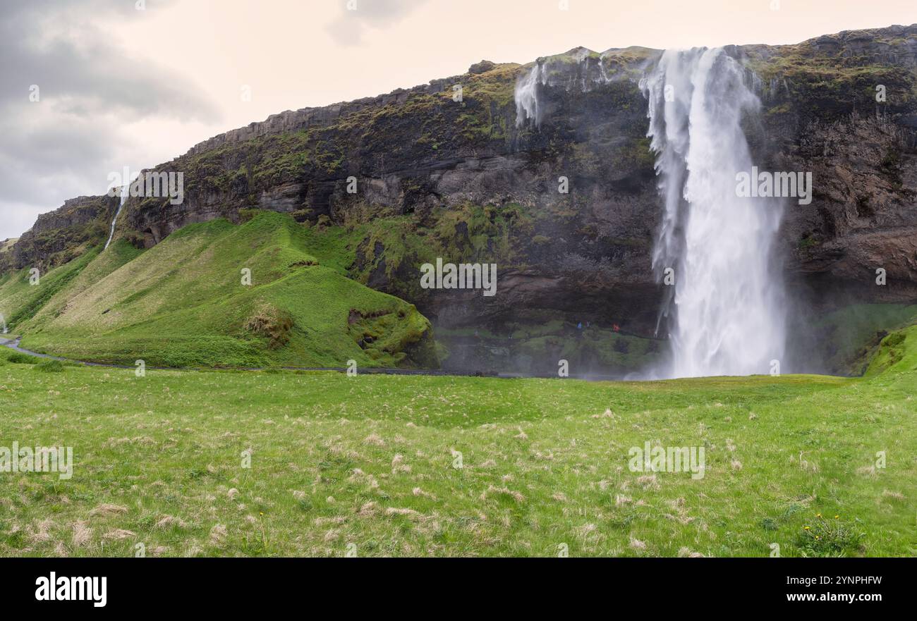 Cascade de Seljalandsfoss en Islande : beauté pittoresque entourée d'une végétation luxuriante, destination touristique populaire pour la photographie et la nature Explorat Banque D'Images