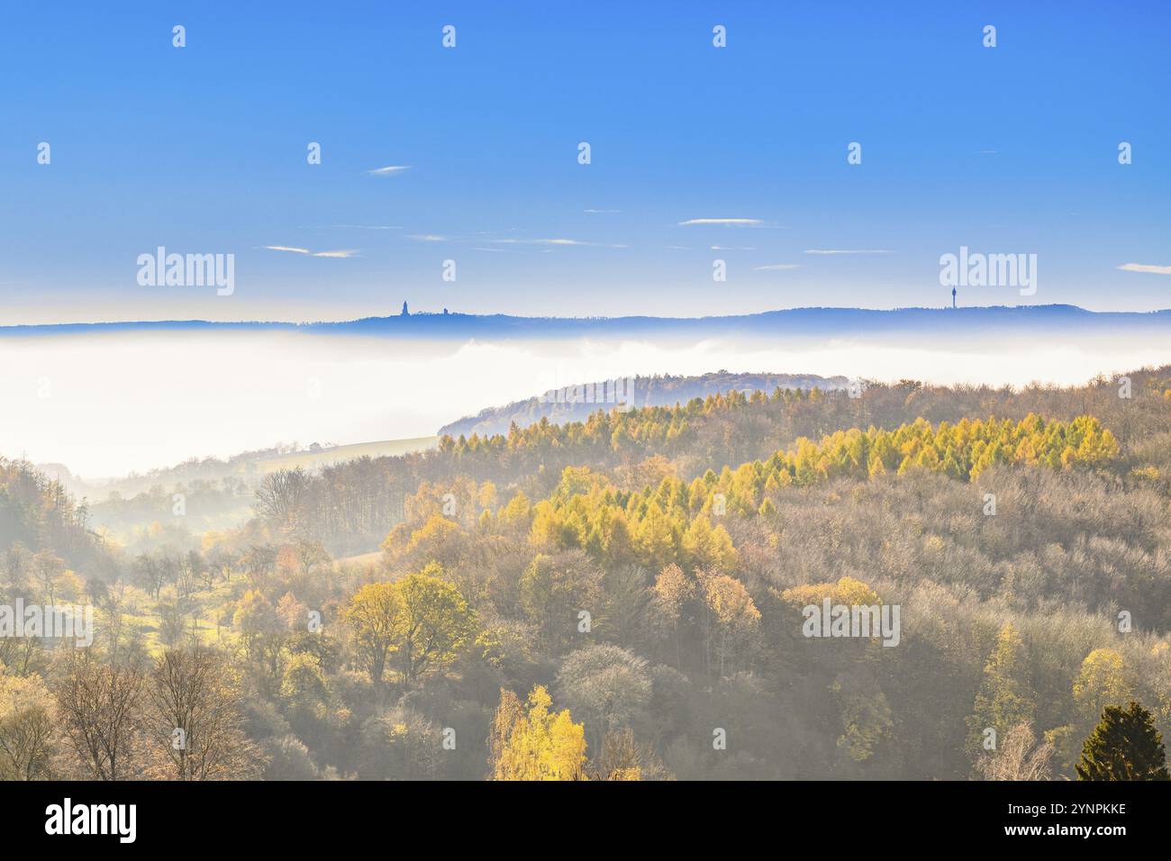 Vue sur une vallée avec brouillard et une forêt aux couleurs automnales colorées Banque D'Images