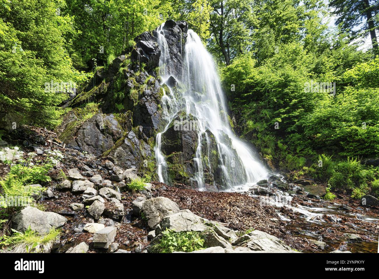 Une vue sur la cascade de Radau dans les montagnes du Harz en Allemagne par temps glorieux d'été Banque D'Images