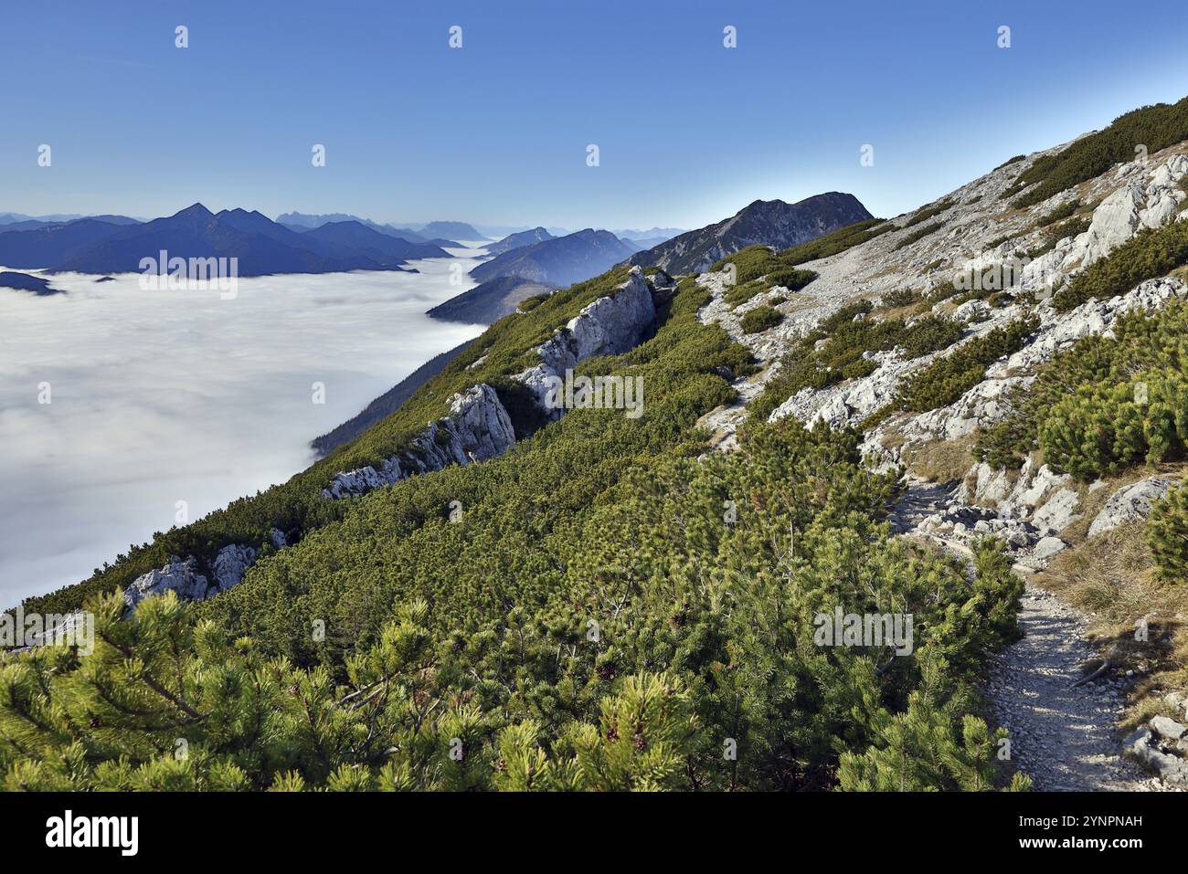 Vue d'une montagne à la couverture de brouillard fermée dans une vallée dans les Alpes de Chiemgau avec le Sonntagshorn, Hochstaufen, haute-Bavière, Bavière, Allemagne, EUR Banque D'Images