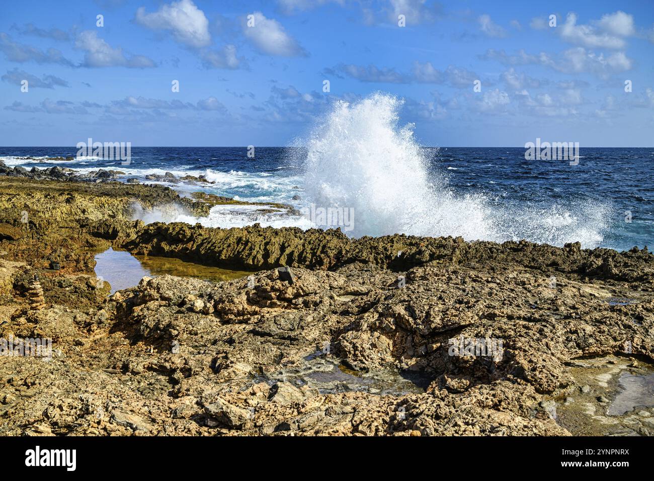 Vue sur la côte rocailleuse d'Aruba et la mer des Caraïbes Banque D'Images