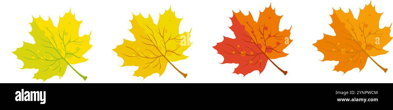 Feuilles d'érable d'automne jaune, orange et rouge Illustration de Vecteur