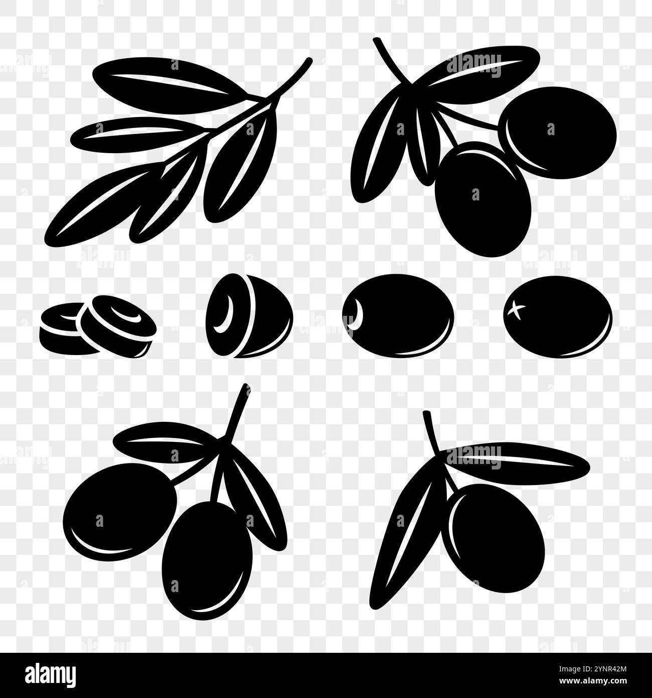 Ensemble d'olives noires vectorielles plates et de contours de branche. Baies d'olivier dessinées à la main et clipart de branche. Brindille d'olive avec des feuilles pour les produits à base d'huile d'olive Illustration de Vecteur