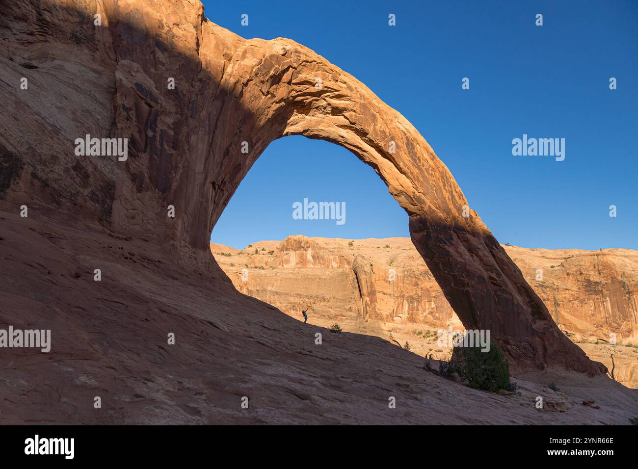 La Corona Arch, une arche en grès naturel près de Moab, dans l'Utah Banque D'Images