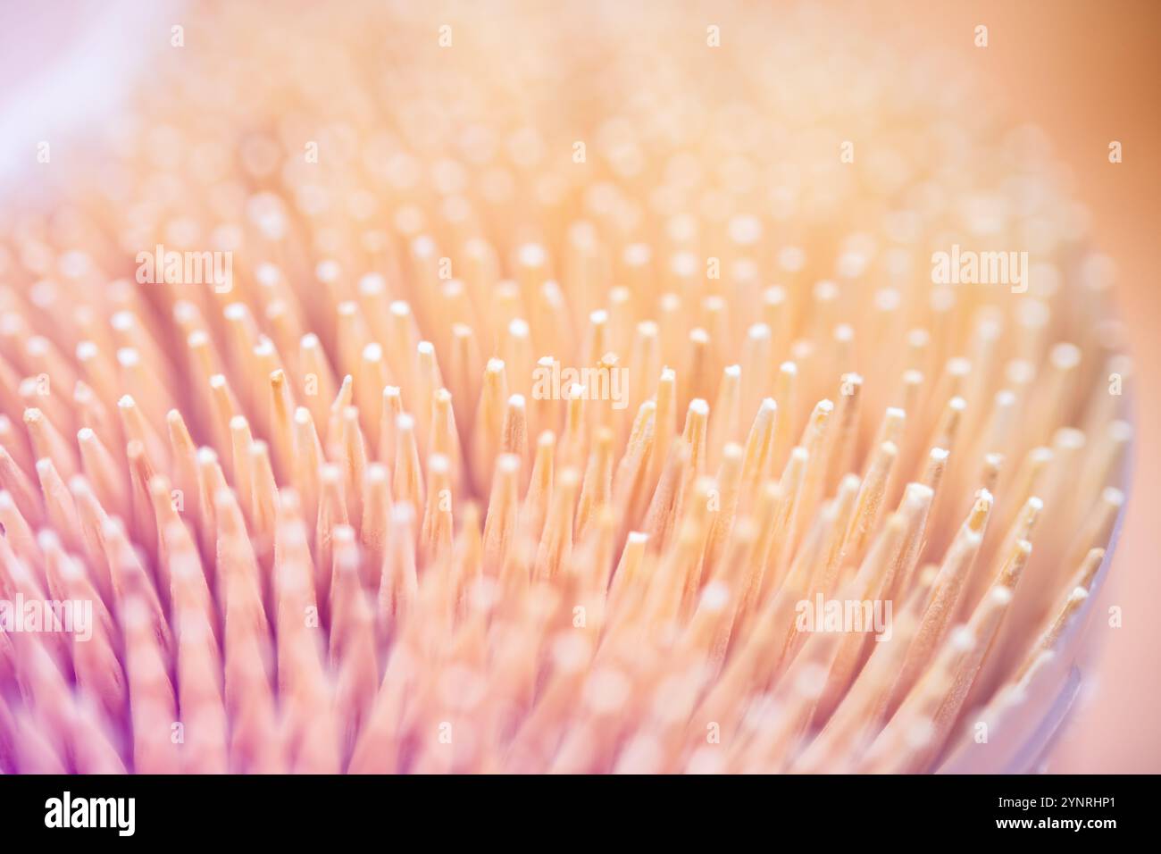 Gros plan artistique de cure-dents mettant en évidence les éléments essentiels de la cuisine en bois pour la cuisine, la présentation des aliments et les réceptions de fête, parfait pour la cuisine, h. Banque D'Images