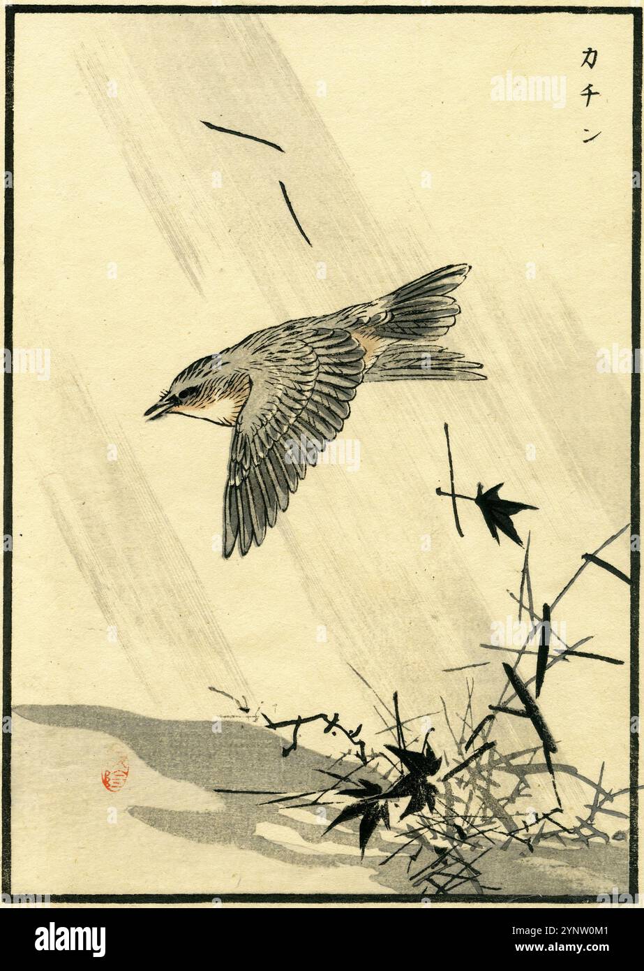 Turdus naumanni et feuilles d'érable d'automne / Bairei album de cent oiseaux (Bairei Hyakucho Gafu) 1881 Banque D'Images