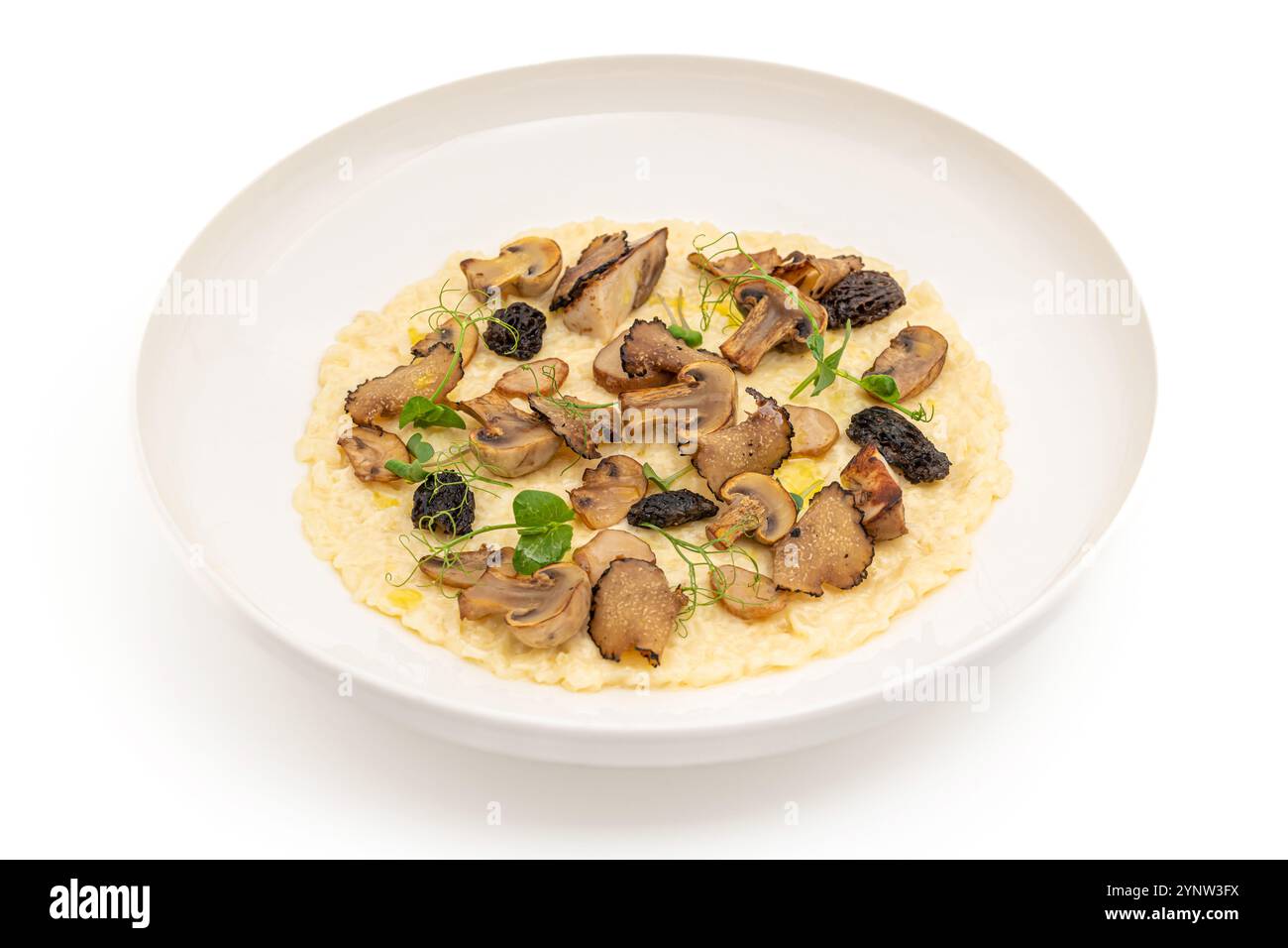 Risotto aux champignons porcini dans une assiette en porcelaine blanche, risotto ai funghi porcini Banque D'Images