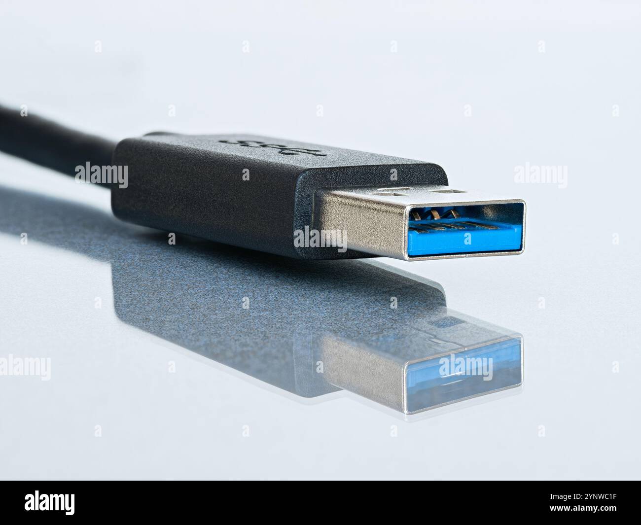 Plan macro du connecteur USB 3 de type A isolé sur fond blanc avec réflexion. Banque D'Images