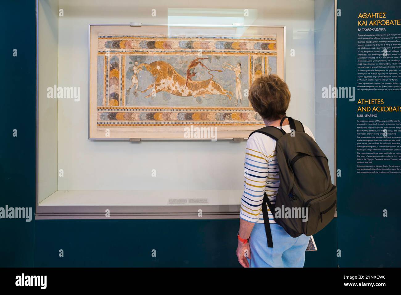 Musée archéologique de Crète, vue arrière d'un touriste étudiant l'ancienne fresque minoenne 'Bull Leaping', Musée archéologique d'Héraklion, Crète, Grèce Banque D'Images