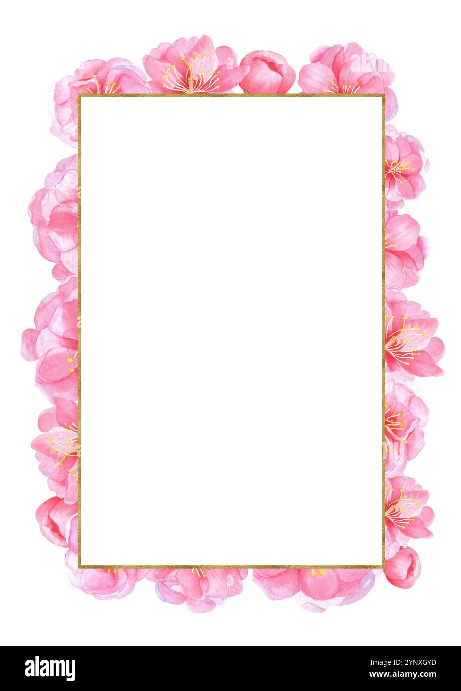 Carte postale prête à l'emploi avec cadre rectangulaire doré et fleurs de Sakura roses. Invitation, mise en page du dépliant. Illustration d'aquarelle dessinée à la main. Banque D'Images