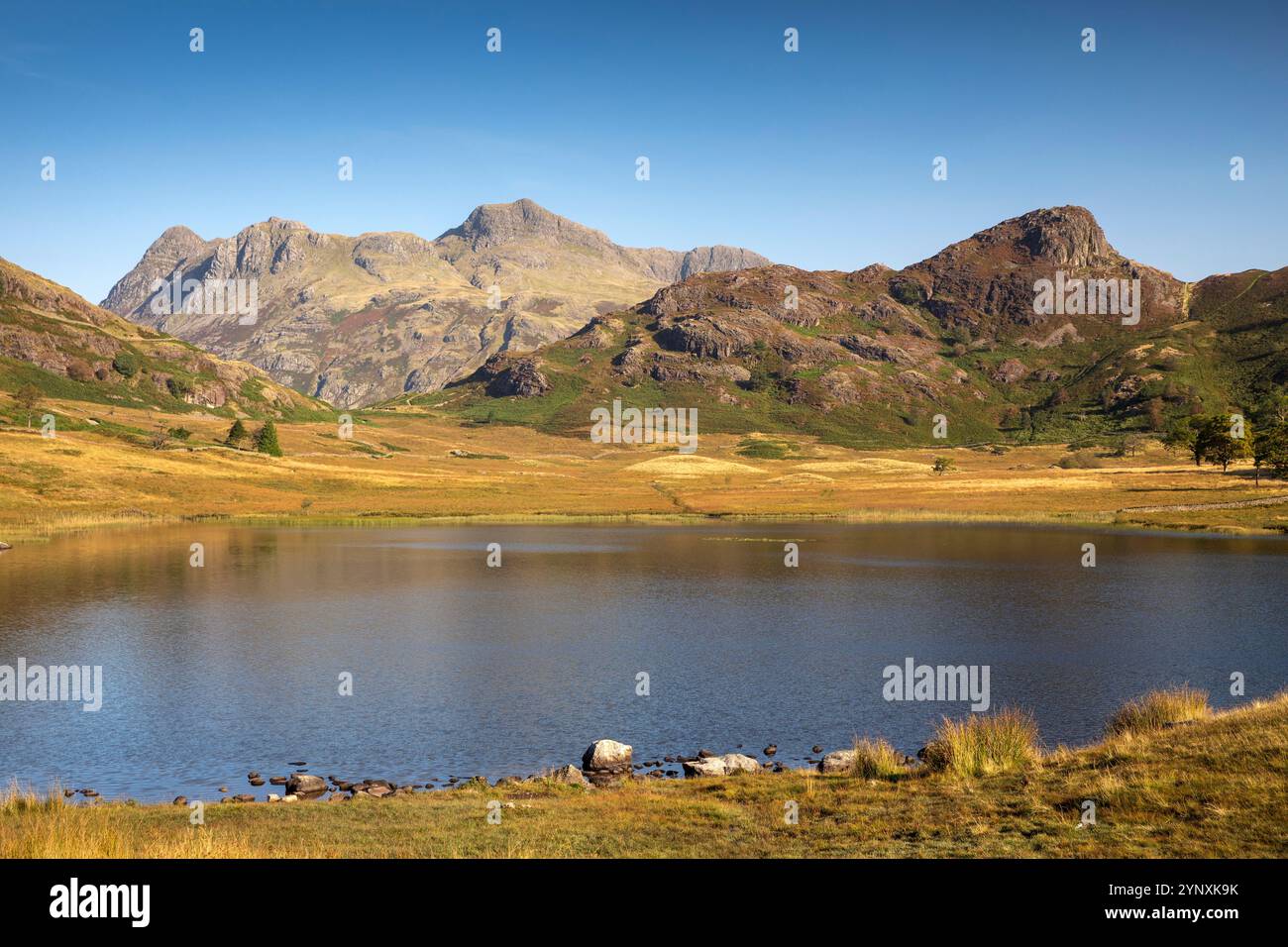 Royaume-Uni, Angleterre, Cumbria, Langdale, Blea Tarn en dessous de Side Pike et Langdale Pikes Banque D'Images