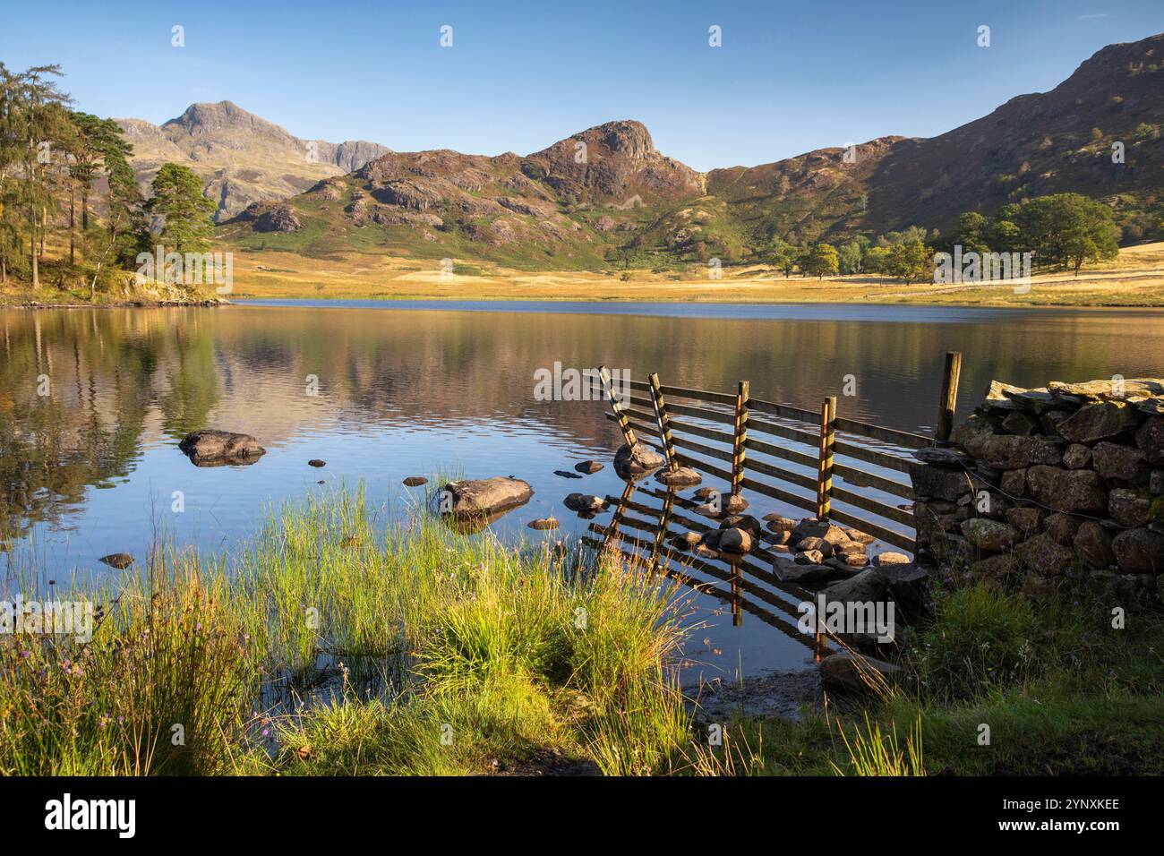 Royaume-Uni, Angleterre, Cumbria, Langdale, Blea Tarn en dessous de Side Pike et Langdale Pikes Banque D'Images