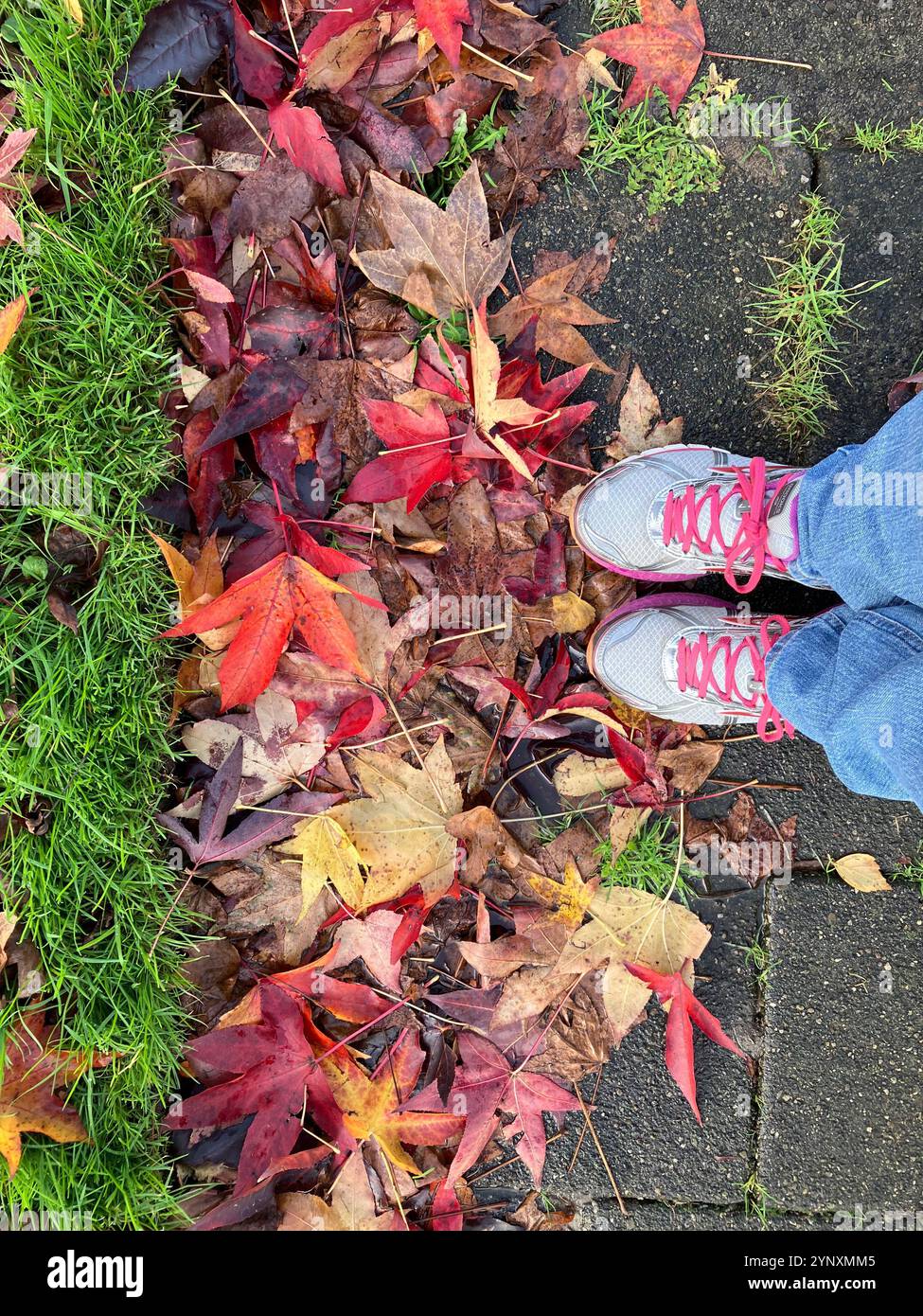Herbe verte et feuilles d'automne avec chaussures de course et jeans. Les couleurs d'automne de rouge, jaune et brun contrastent avec l'herbe. - Image de stock capturée avec un smartphone