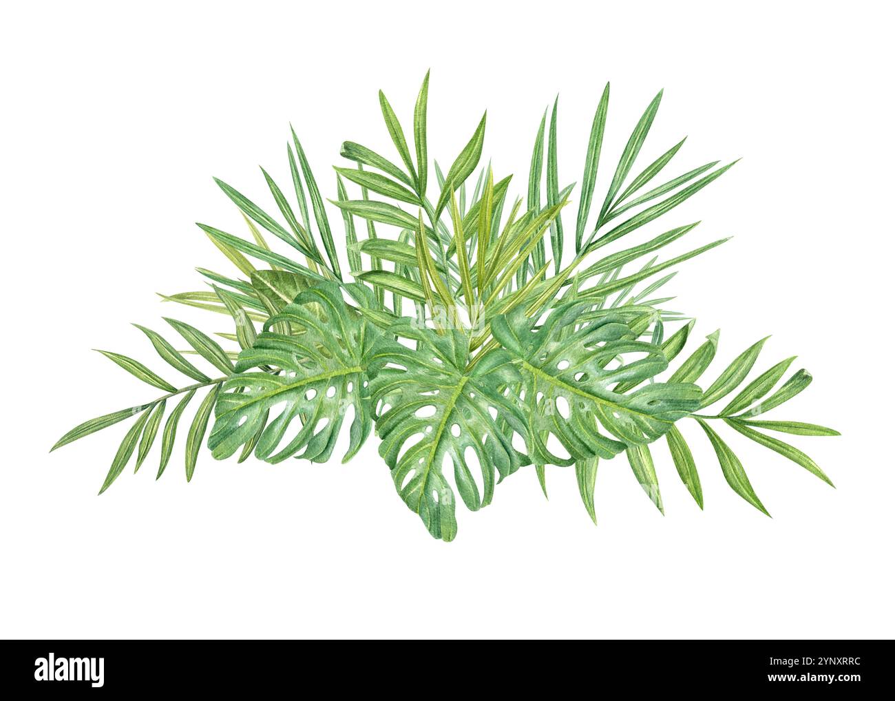 Aquarelle vert tropical feuilles bouquet illustration botanique. Palmier peint à la main et feuillage monstera pour les boutiques de design, impression, carte de voeux Banque D'Images