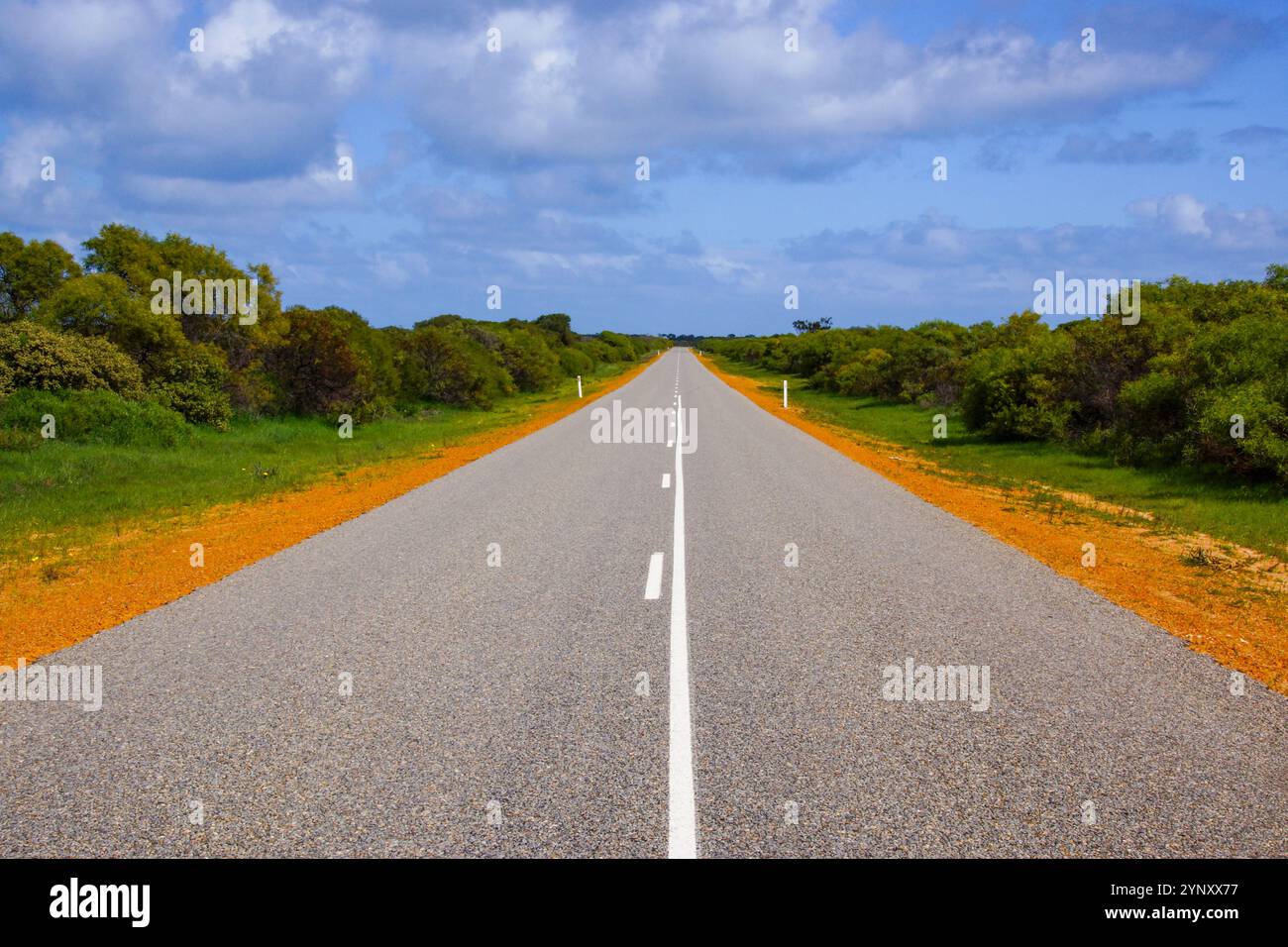 Route de campagne vide menant directement à l'horizon à travers le Bush en Australie occidentale Banque D'Images
