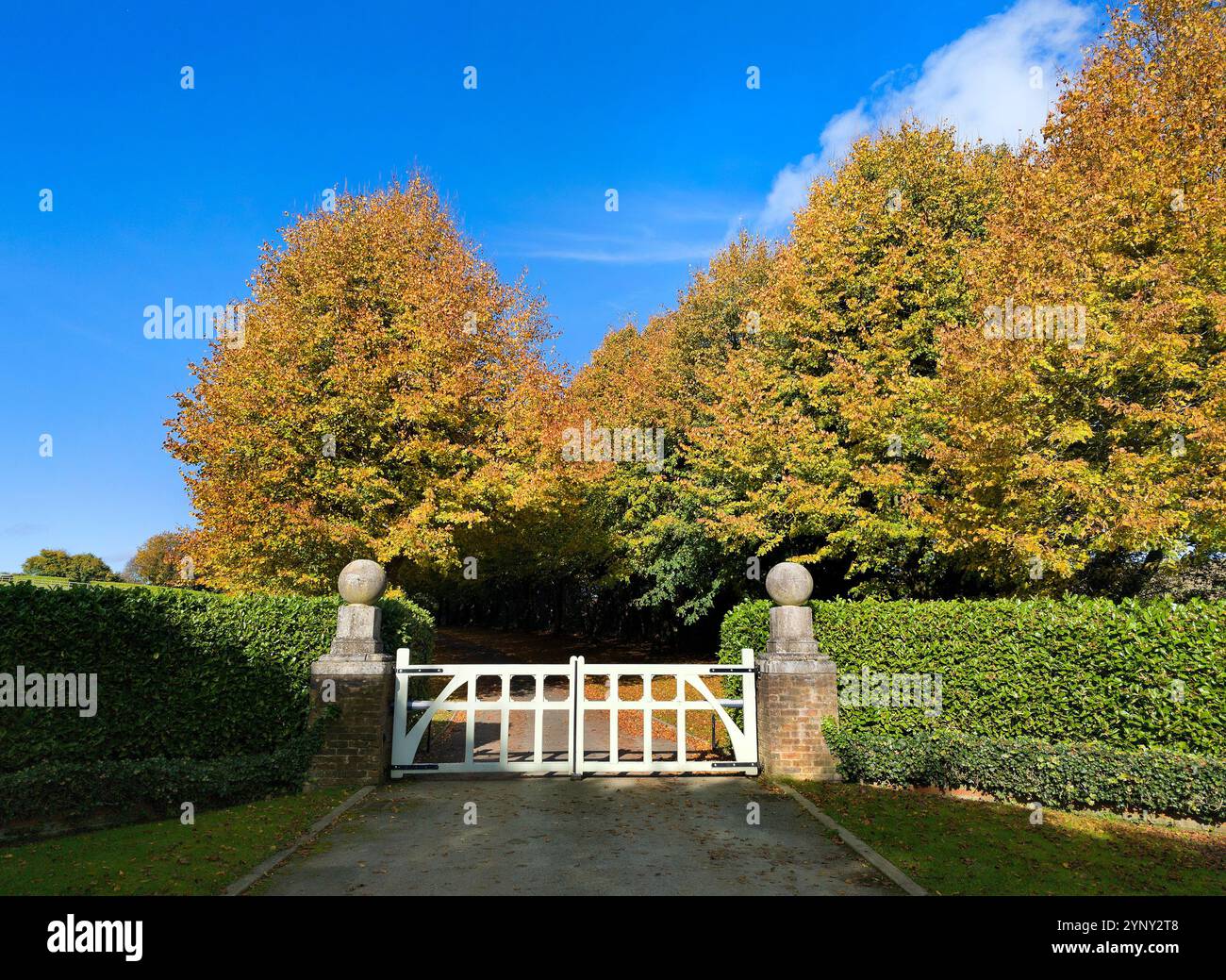 Entrée fermée du domaine, couleurs d'automne colorées, arbres dorés, soleil éclatant, ciel bleu Banque D'Images