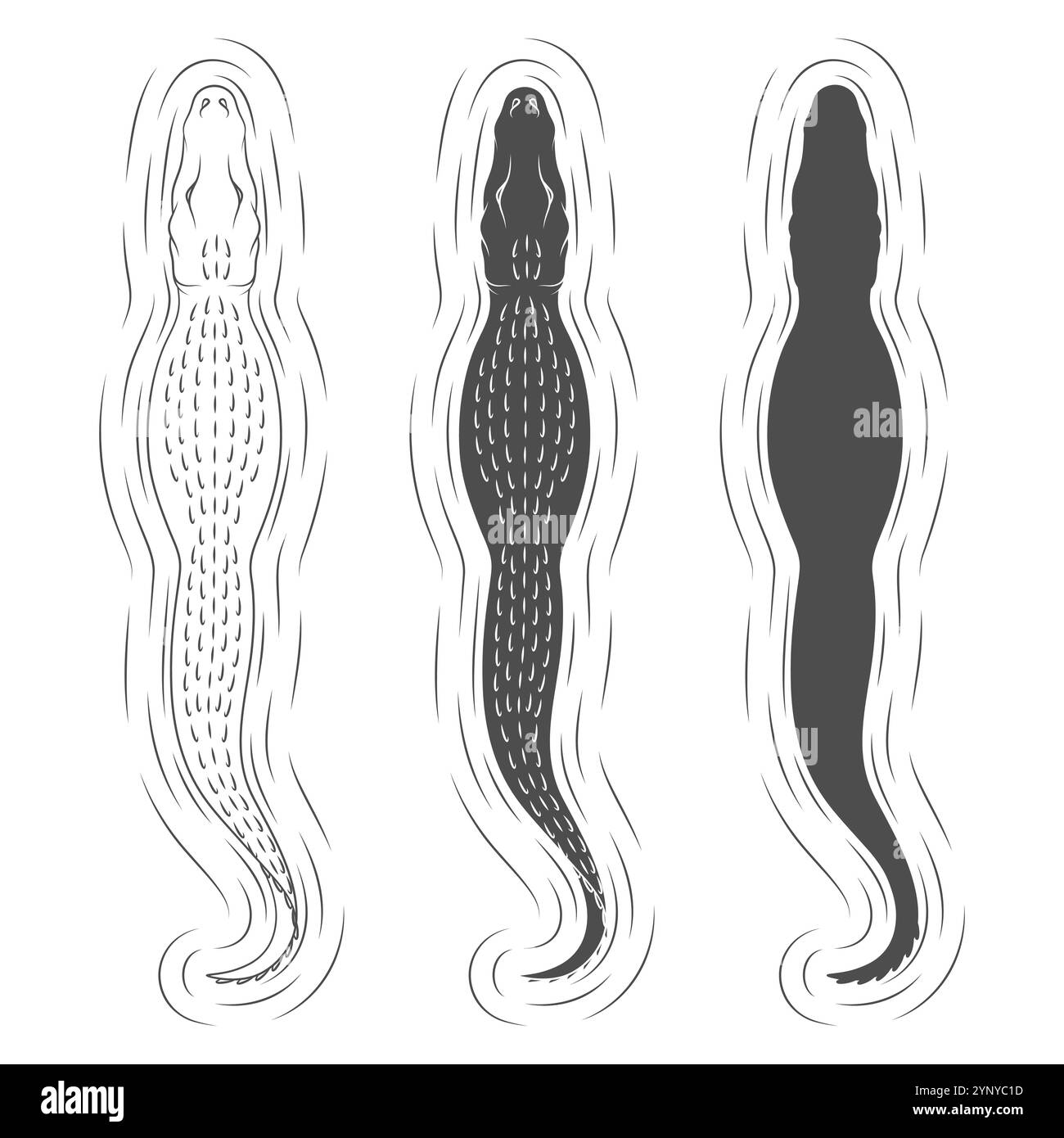 Ensemble d'illustrations en noir et blanc avec crocodile de natation. Objets vectoriels isolés sur fond blanc. Illustration de Vecteur