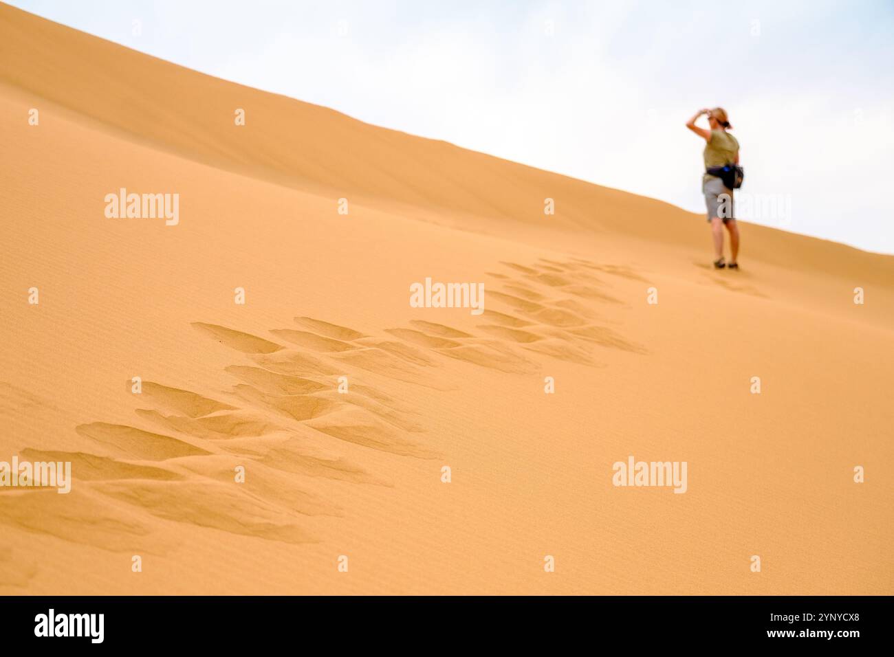 Une femme marchant sur les dunes du désert à Tinfou près de Zagora au bord du Sahara au Maroc Banque D'Images