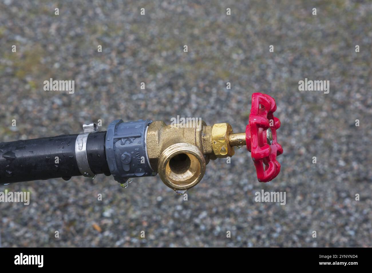 Gros plan du tuyau de raccordement d'alimentation en eau principale de tuyau d'arrosage en plastique noir avec raccord en laiton et robinet rouge, Québec, Canada, Amérique du Nord Banque D'Images