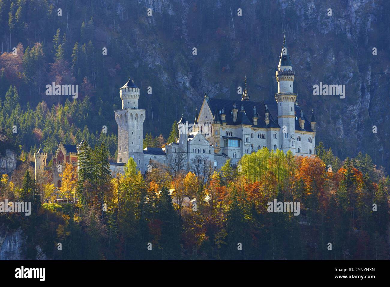 Château de conte de fées en automne, entouré d'arbres colorés dans un paysage alpin, château de Neuschwanstein, près de Fuessen, Ostallgaeu, Allgaeu, Bavière, G. Banque D'Images