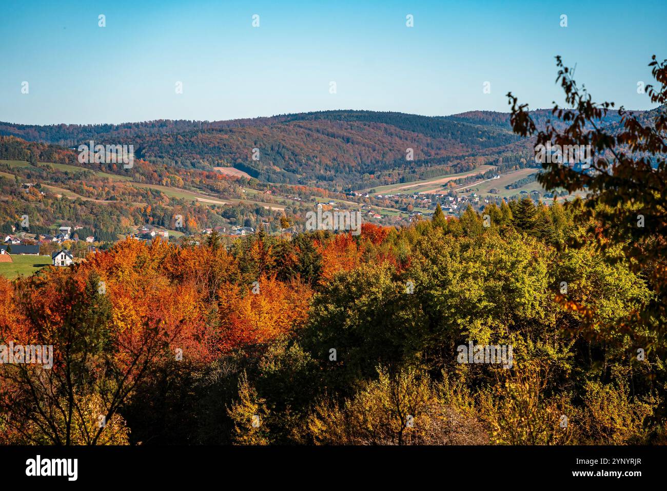 Couleurs d'automne dans les Low Beskids. Comté de Gorlice Banque D'Images