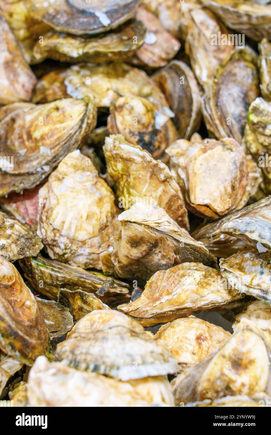 Moules, Vieux Port historique et marché aux poissons Portland Maine, Nouvelle-Angleterre, États-Unis Banque D'Images