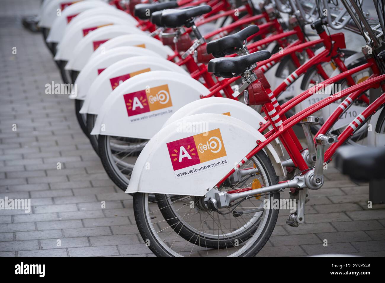 ANVERS, BELGIQUE, 2 OCTOBRE 2016 : avec 1000 vélos et 80 stations, Velo est parmi les plus grands systèmes de partage de vélos au monde Banque D'Images
