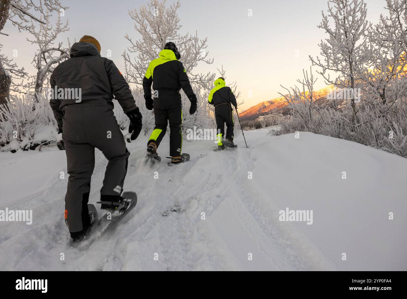 U.S. Marines avec détachement d Company, 4th Law Enforcement Battalion, Force Headquarters Group, Marine Forces Reserve, randonnée en raquettes, Jim Creek, Alaska, 19 novembre 2024. Les Marines ont fait de la randonnée en raquettes tout en menant une formation sur la sécurité par temps froid pour se préparer aux prochains événements Toys for Tots. La participation des Marines à cet entraînement les prépare à opérer dans des conditions météorologiques difficiles au-dessus du cercle arctique, en se familiarisant avec les techniques de survie, l’exploitation de motoneige et les tâches quotidiennes qu’ils effectueront pendant la mission Toys for Tots. (Photo du corps des Marines des États-Unis par le sergent Ethan Banque D'Images