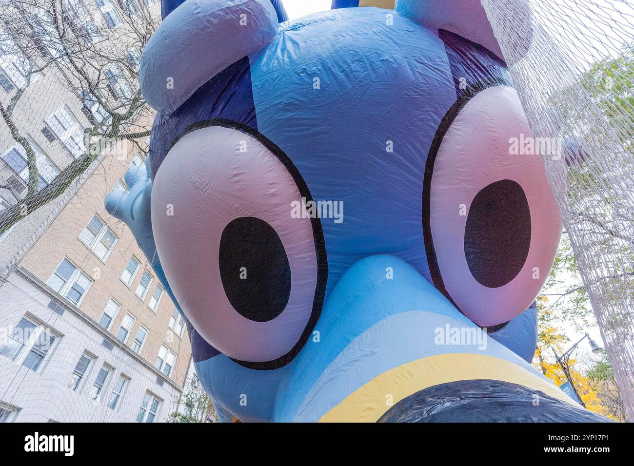 New York, New York, États-Unis. 27 novembre 2024. Les membres de l'équipe d'inflation de Macy's travaillent sur le ballon géant Bluey alors qu'ils se préparent à la 98e parade du jour de Thanksgiving de Macy's dans l'Upper West Side à New York le 27 novembre 2024 (crédit image : © Lev Radin/ZUMA Press Wire) USAGE ÉDITORIAL SEULEMENT! Non destiné à UN USAGE commercial ! Banque D'Images