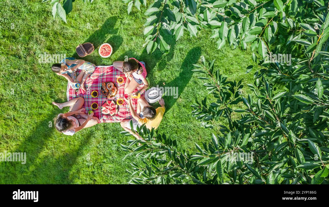 Famille heureuse avec des enfants ayant pique-nique dans le parc, parents avec des enfants assis sur l'herbe du jardin et mangeant des repas sains à l'extérieur, vue aérienne drone Banque D'Images