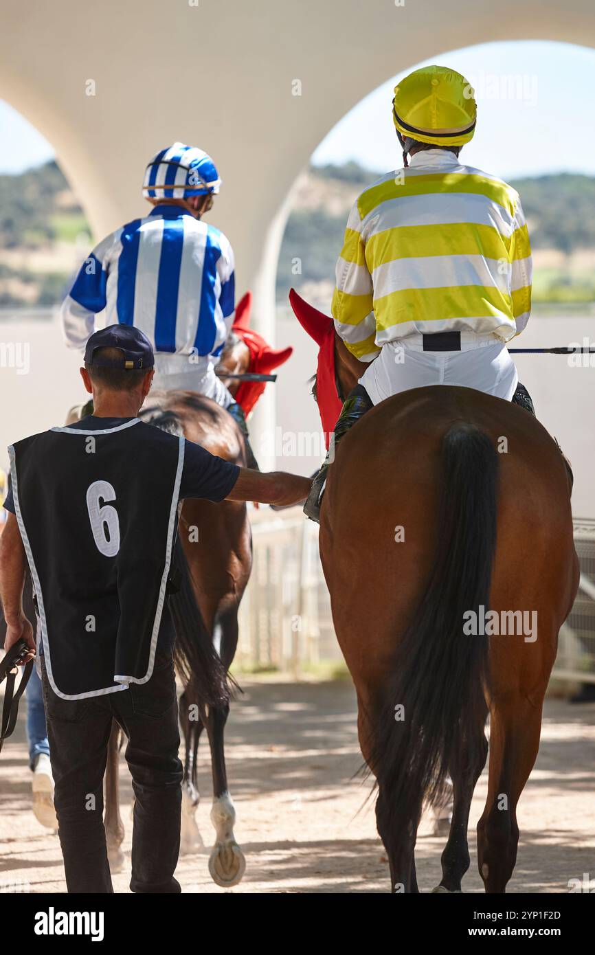 Chevaux de course et jockeys. Pure race dans l'hippodrome. Derby Banque D'Images