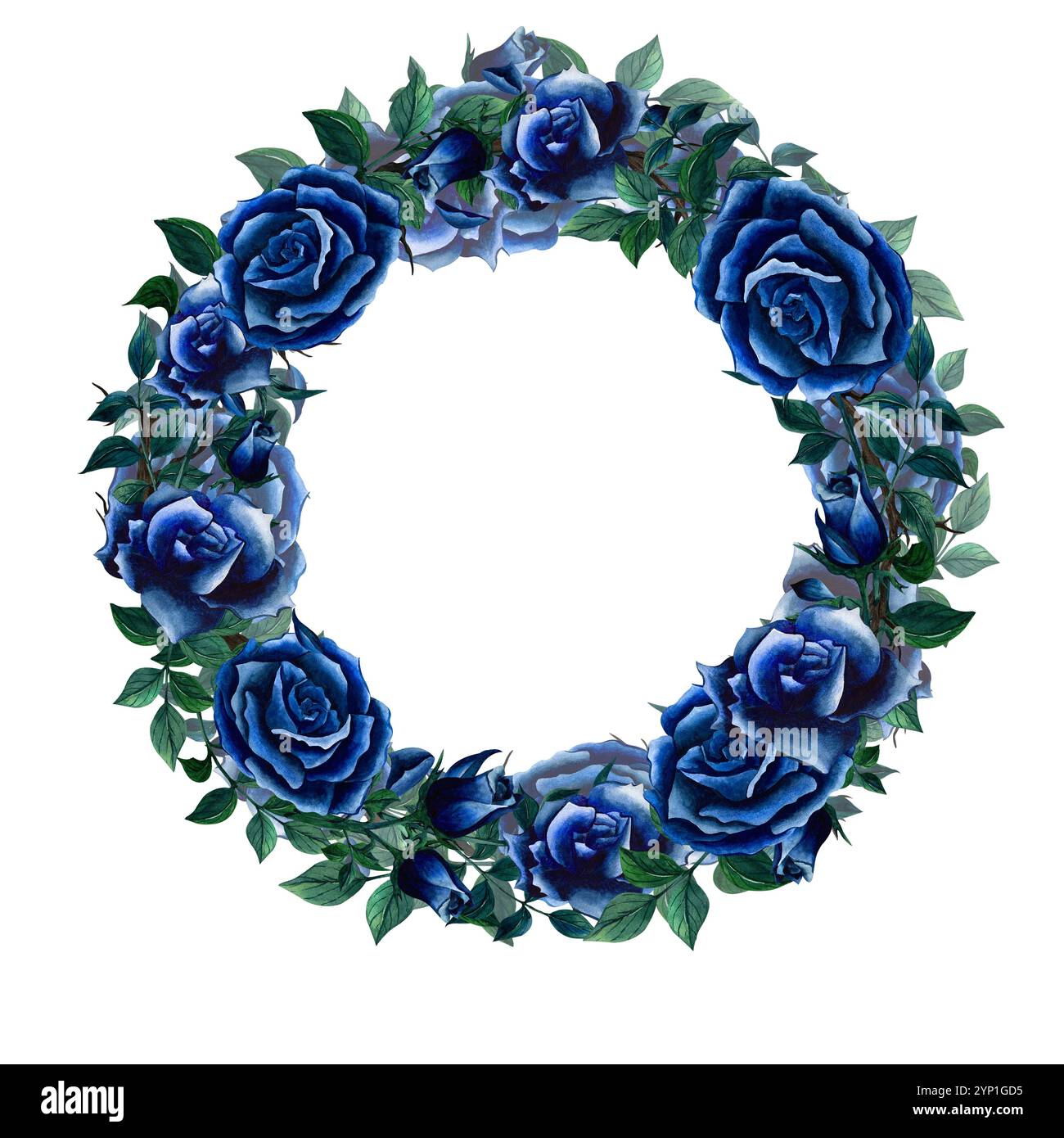 Couronne florale avec des roses bleues et des feuilles peintes à l'aquarelle. Cadres d'illustration dessinés à la main avec fleur et feuillage isolent sur fond blanc. Bo Banque D'Images