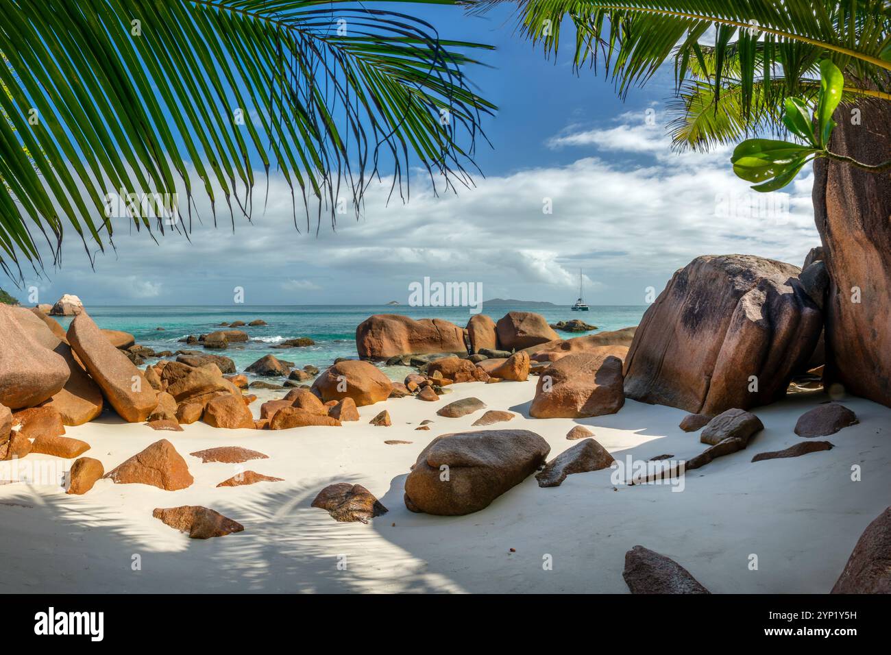 Palmiers et rochers de granit à Anse Lazio, plage pittoresque de l'île de Praslin, Seychelles Banque D'Images