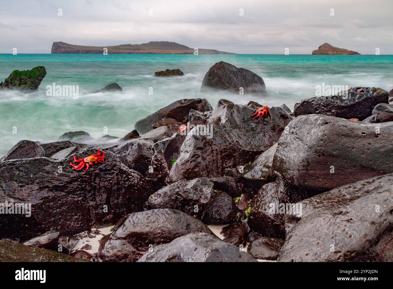 Surf Break sur le rivage de lave à Gardner Bay sur l'île d'Espanola dans l'archipel des îles Galapagos, site du patrimoine mondial de l'UNESCO, Équateur Banque D'Images