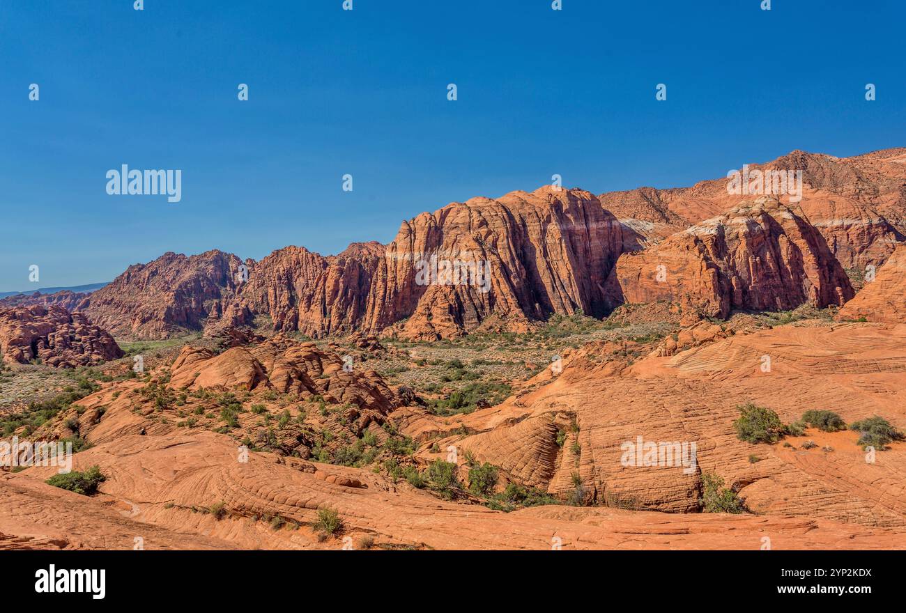 Les Red Mountains s'élèvent derrière les dunes de sable pétrifiées du parc d'État de Snow Canyon, dans le sud de l'Utah Banque D'Images