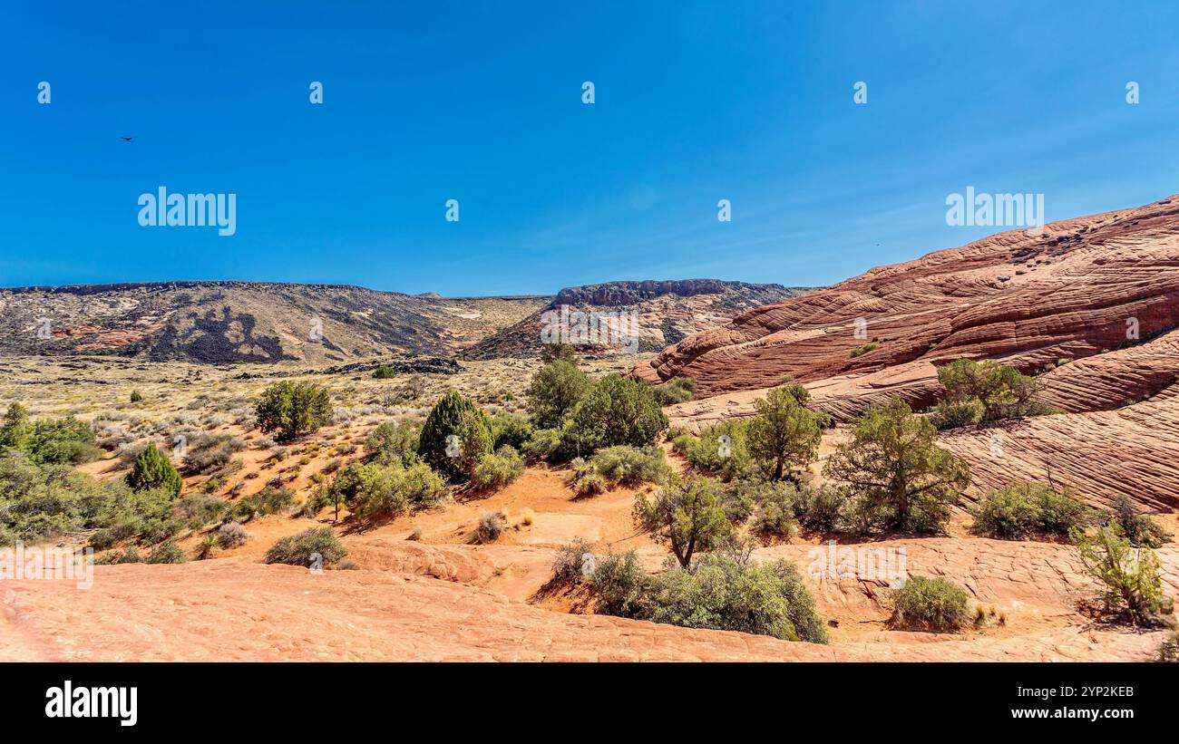 Snow Canyon State Park, ouvert en 1962, lieu de tournage de films comme Butch Cassidy et The Sundance Kid, près de George, Utah Banque D'Images