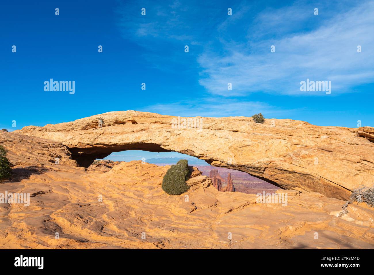 Mesa Arch, Canyonlands National Park, Utah, États-Unis d'Amérique, Amérique du Nord Banque D'Images