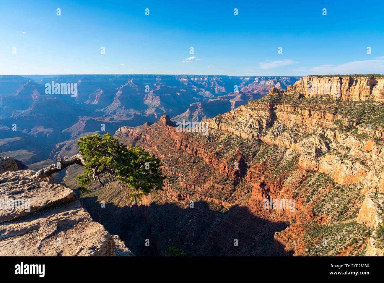 Grand Canyon, Pipe Creek Vista, parc national du Grand Canyon, site du patrimoine mondial de l'UNESCO, Arizona, États-Unis d'Amérique, Amérique du Nord Banque D'Images