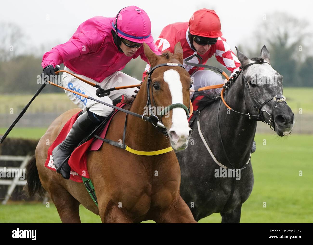 Photo du dossier datée du 28-11-2021 de fil Dor, qui est revenu à la victoire pour Gordon Elliott alors qu'il battait son seul rival dans l'offre Racing TV Black Friday 14 euros par mois Chase à Thurles. Date d'émission : jeudi 28 novembre 2024. Banque D'Images