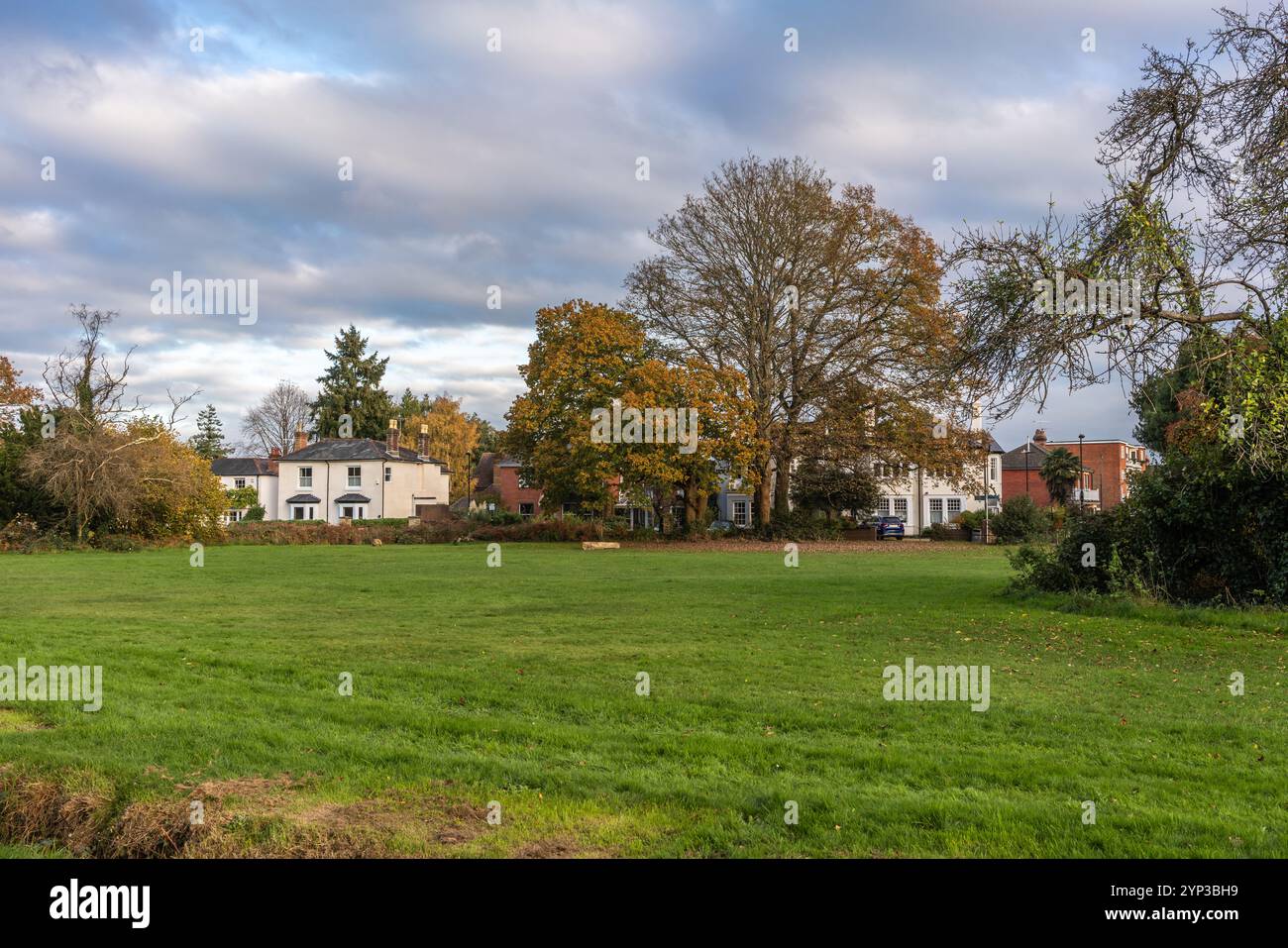 Maisons le long de Highfield Rd.adjacent au parc commun dans le quartier aisé de Highfield à Southampton pendant l'automne, Hampshire, Angleterre, Royaume-Uni Banque D'Images