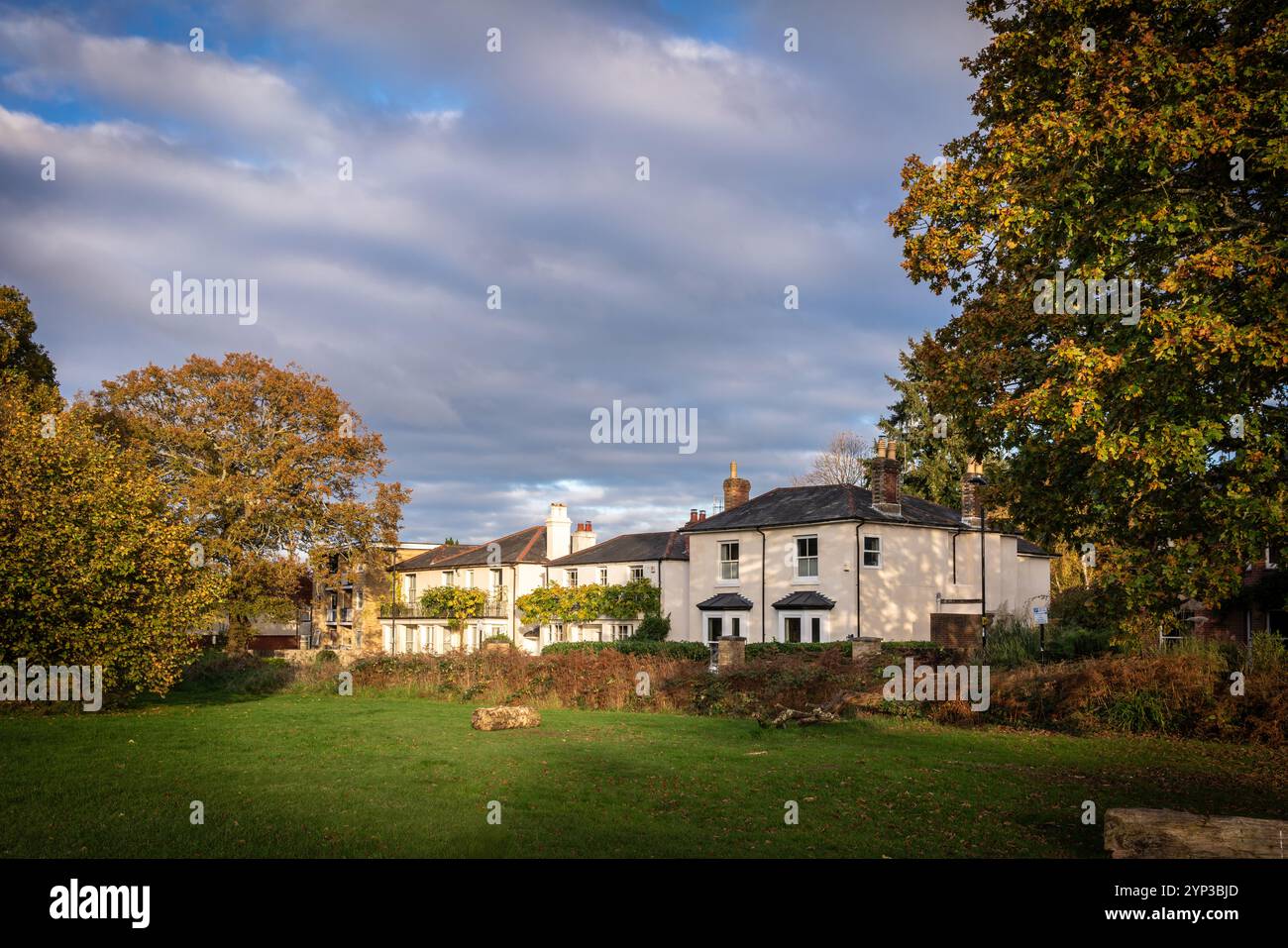 Maisons le long de Highfield Rd.adjacent au parc commun dans le quartier aisé de Highfield à Southampton pendant l'automne, Hampshire, Angleterre, Royaume-Uni Banque D'Images