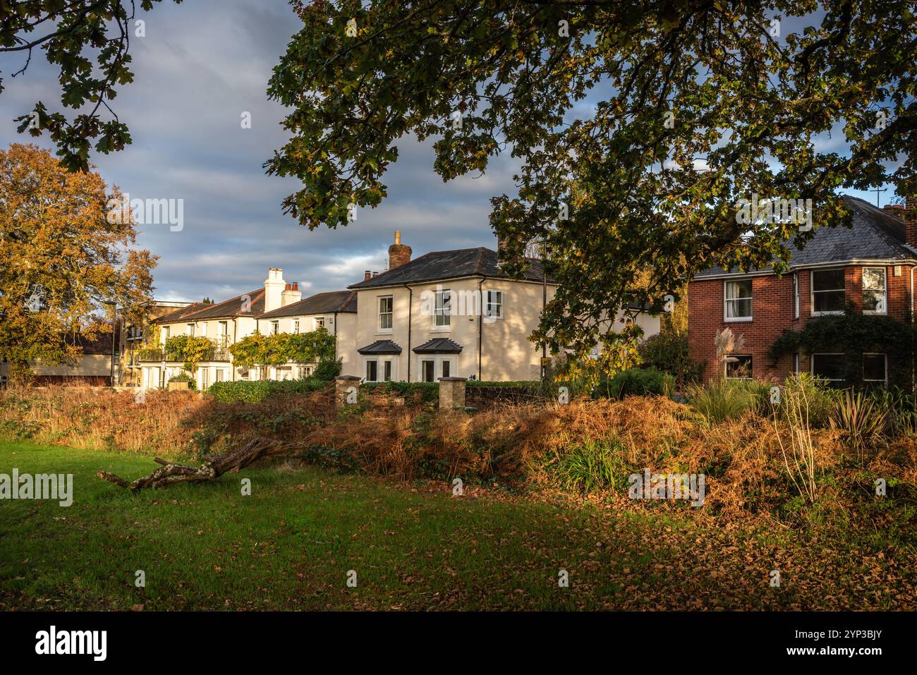 Maisons le long de Highfield Rd.adjacent au parc commun dans le quartier aisé de Highfield à Southampton pendant l'automne, Hampshire, Angleterre, Royaume-Uni Banque D'Images